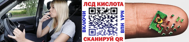Марки NBOMe 1500мкг shop как зайти Лыткарино наркотики